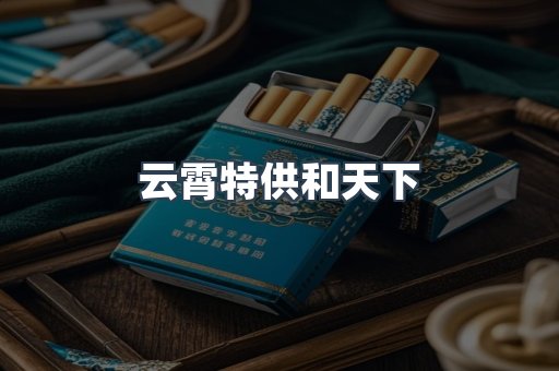 云霄特供和天下
